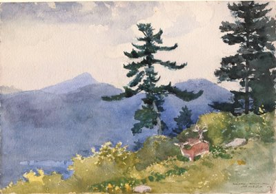 North Woods Club, Adirondacks von Winslow Homer